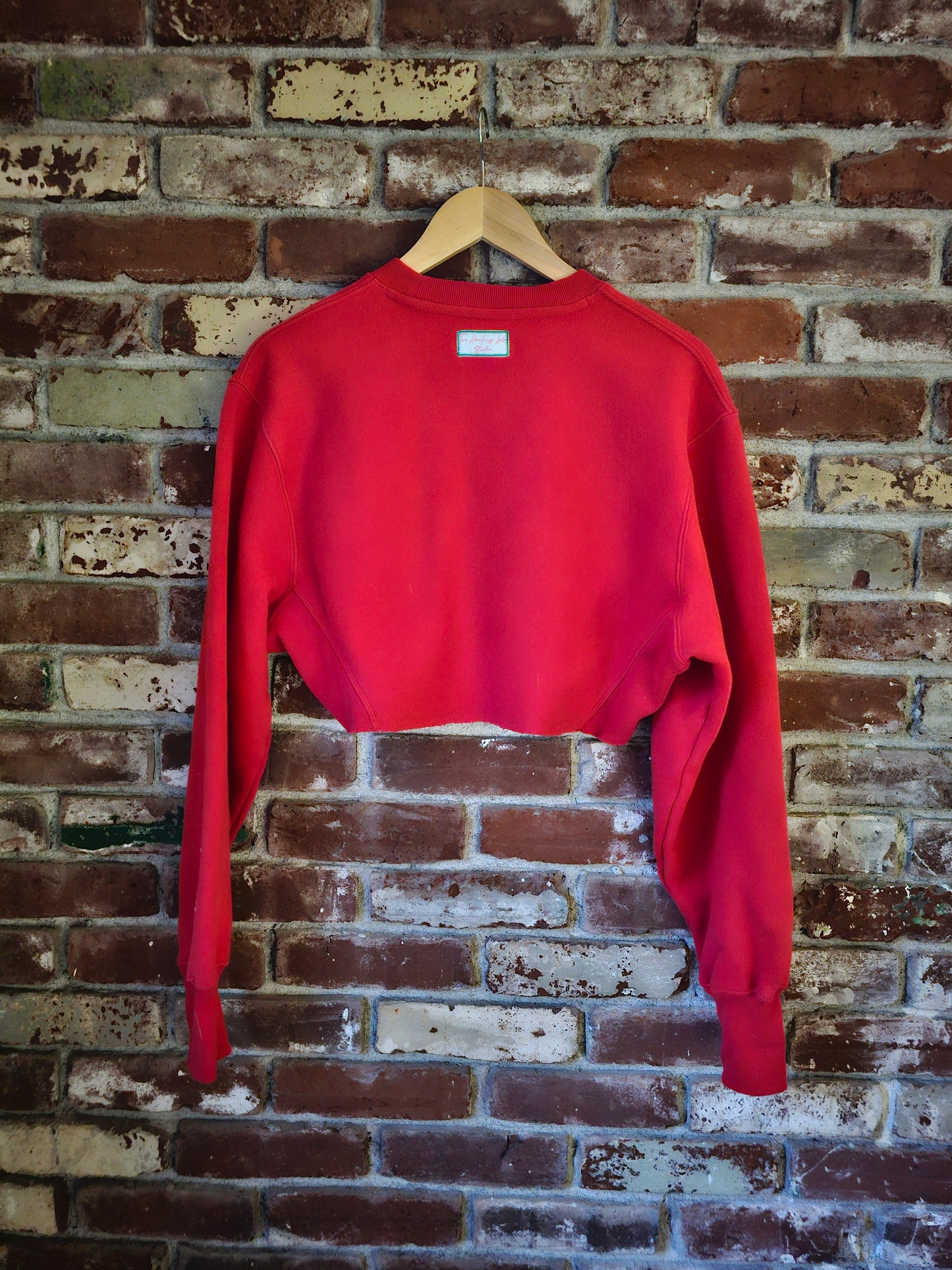 The Elf Cropped Crewneck - Upcycled Holiday Crewneck with Cat in Holiday Basket & Pine Tree Terrycloth