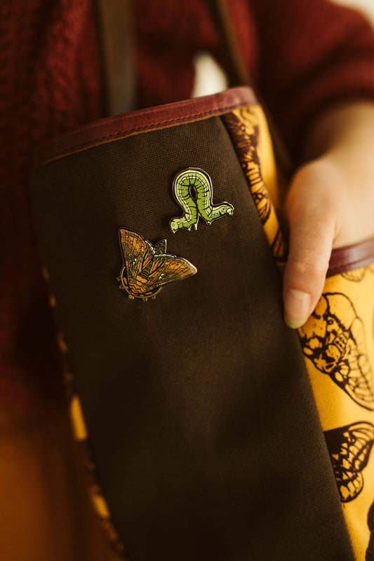 Clover Looper Moth (Inchworm) Pin Set