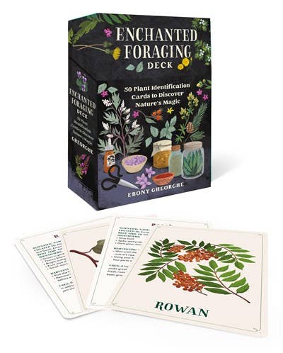 Enchanted Foraging Deck: 50 Plant Identification Cards