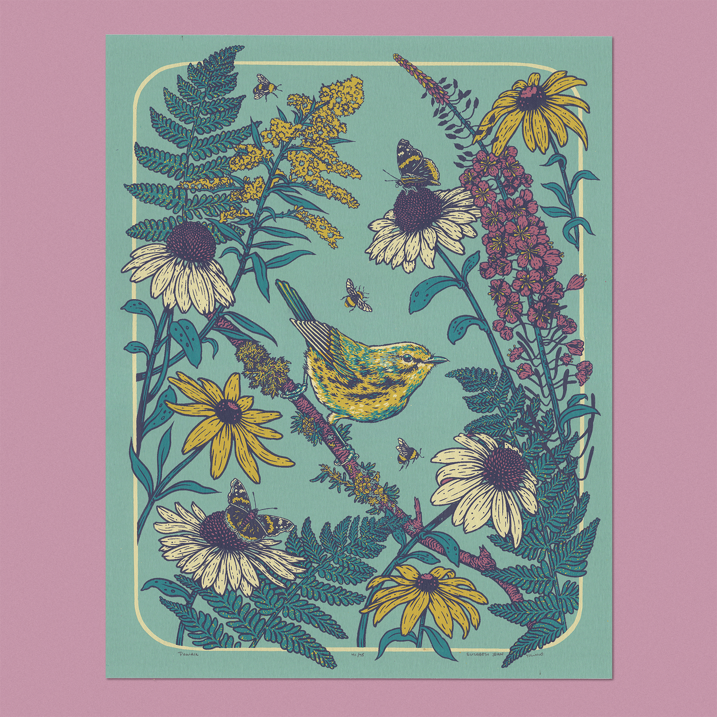 Prairie Warbler Giclee Print 11x14"