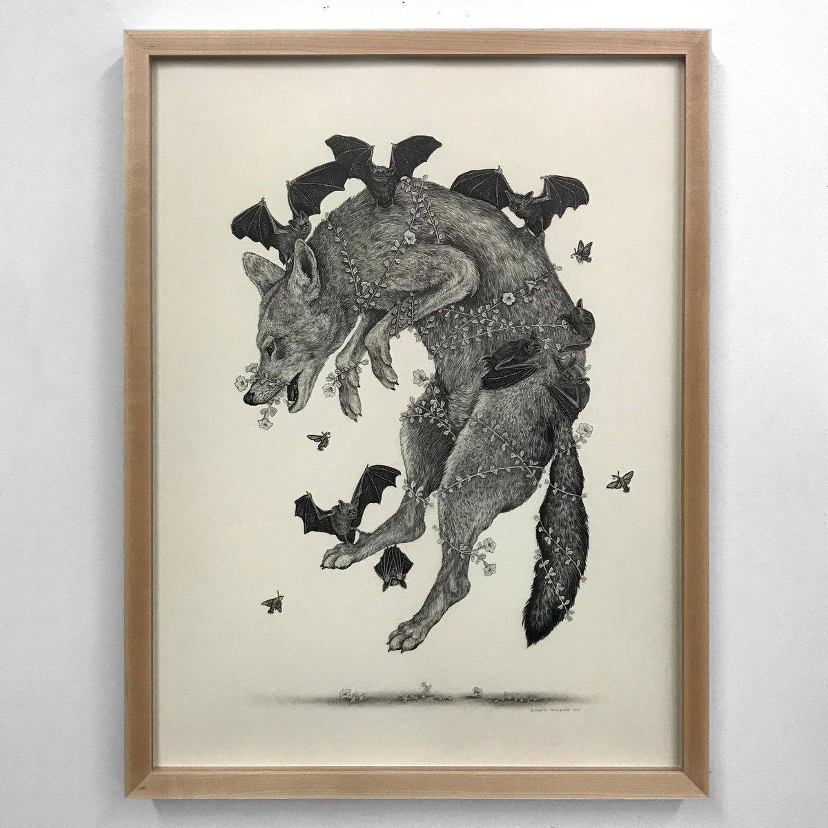 Fine Art Giclee Print, Red Wolf, Scientific Illustration