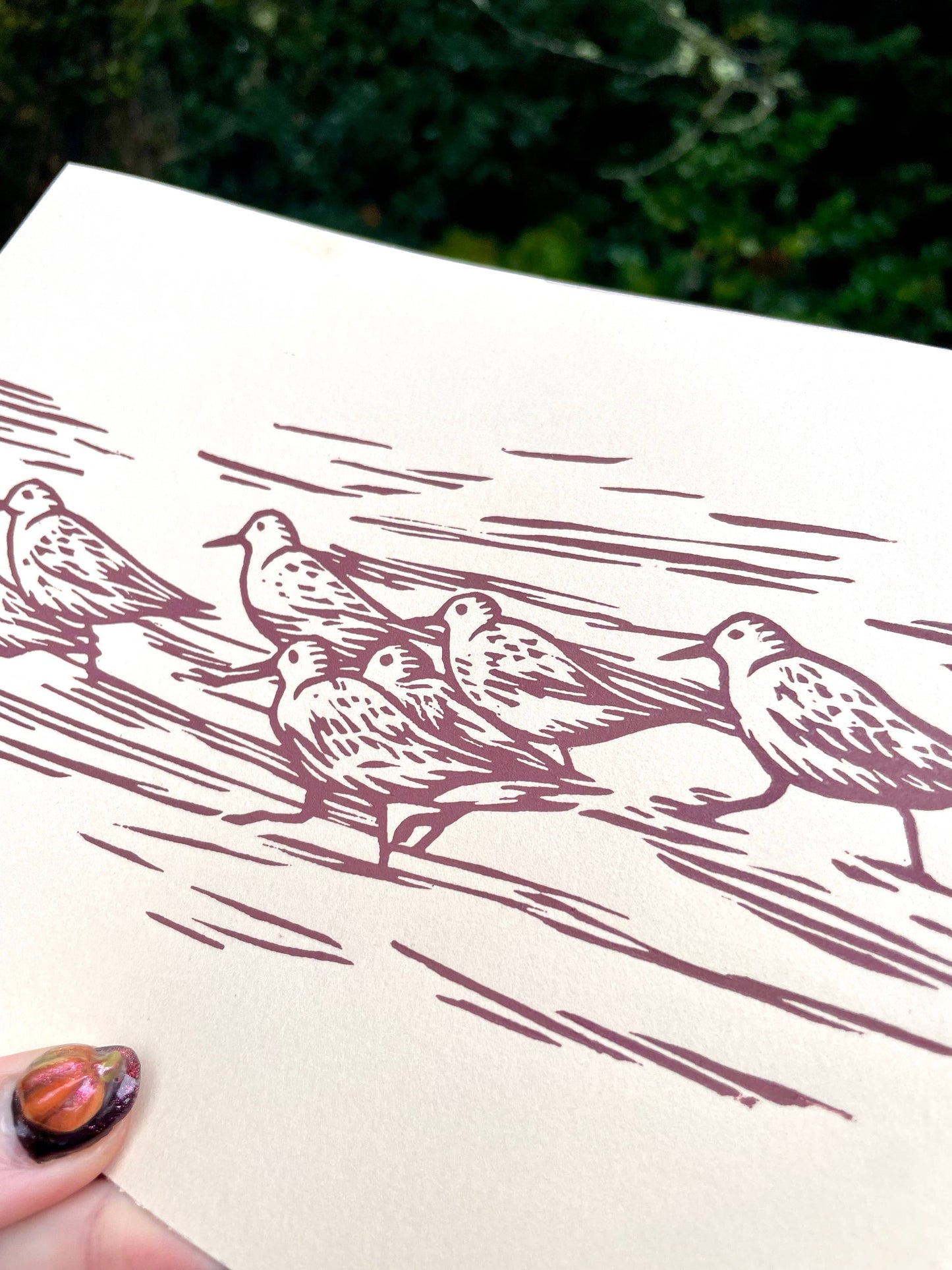 Sanderling Linocut Print