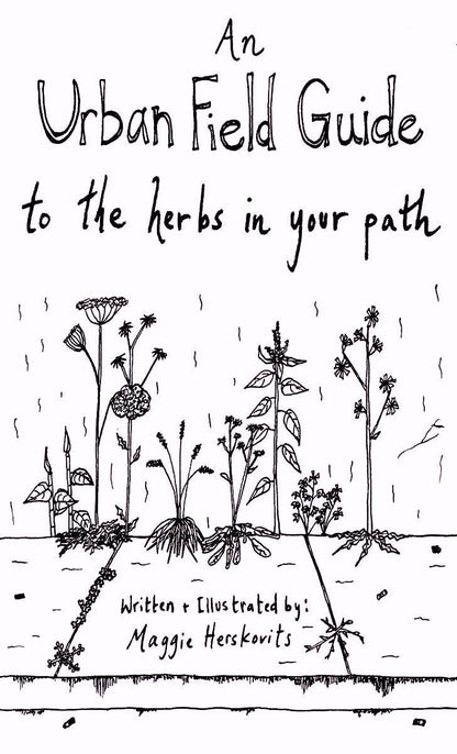 Urban Field Guide to the Herbs in Your Path (Zine)