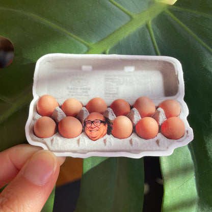 Carton of eggs with Danny Davito's face printed on it held in front of a green leafy plant.