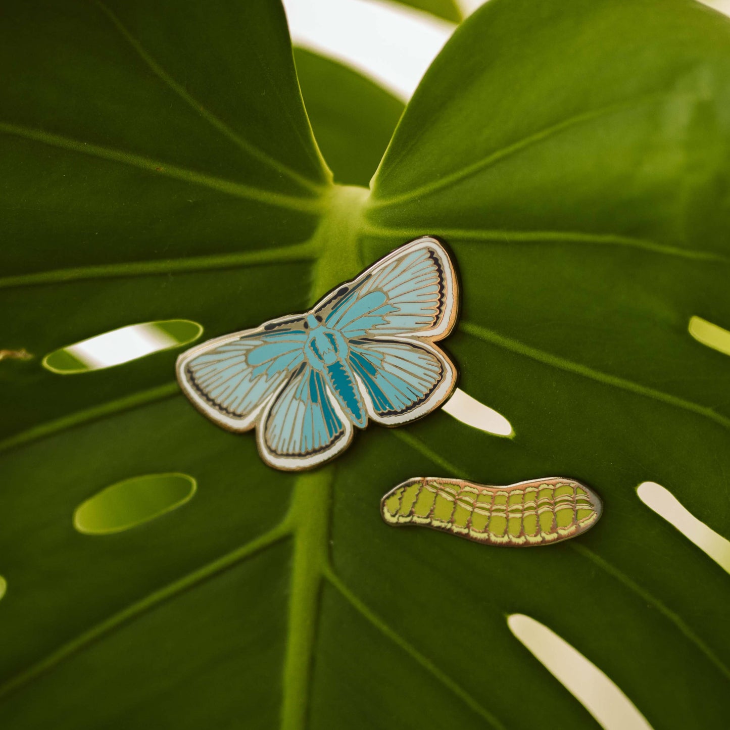 Karner Blue Butterfly Pin Set