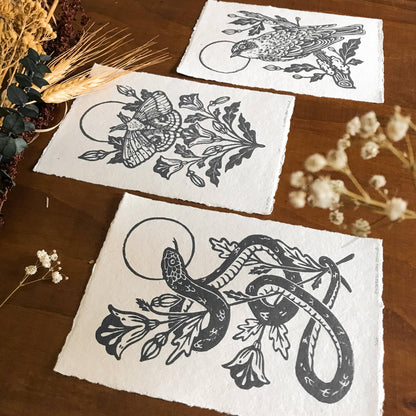 Warbler & Poppies Handprinted Linocut on Handmade Paper 5x7"