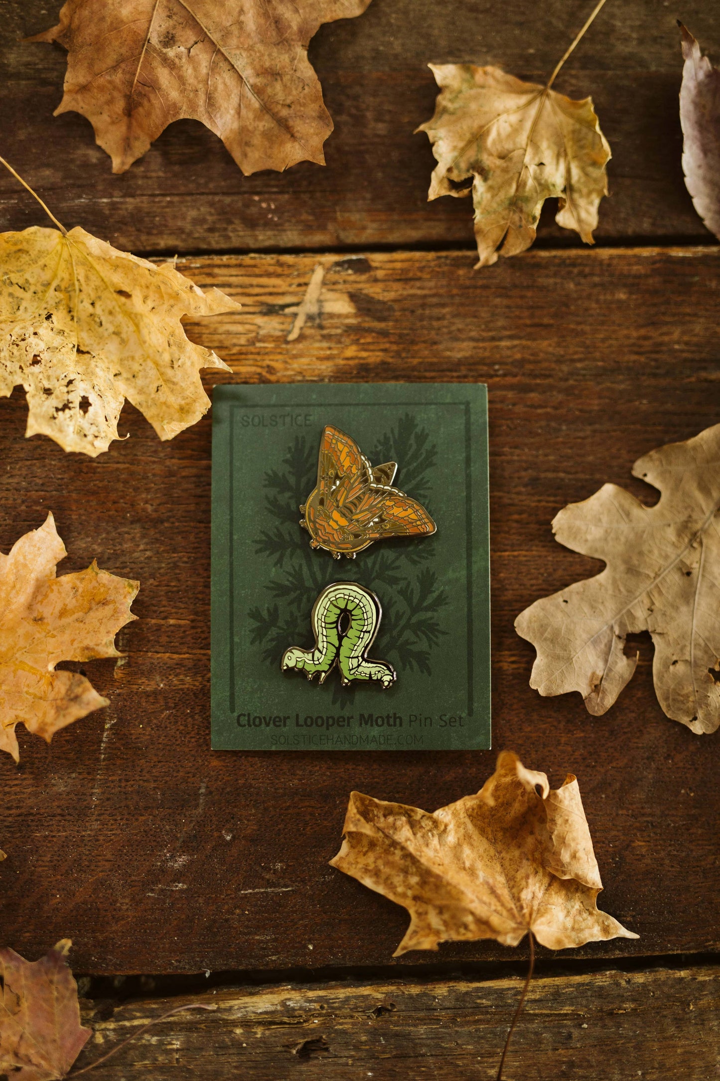 Clover Looper Moth (Inchworm) Pin Set