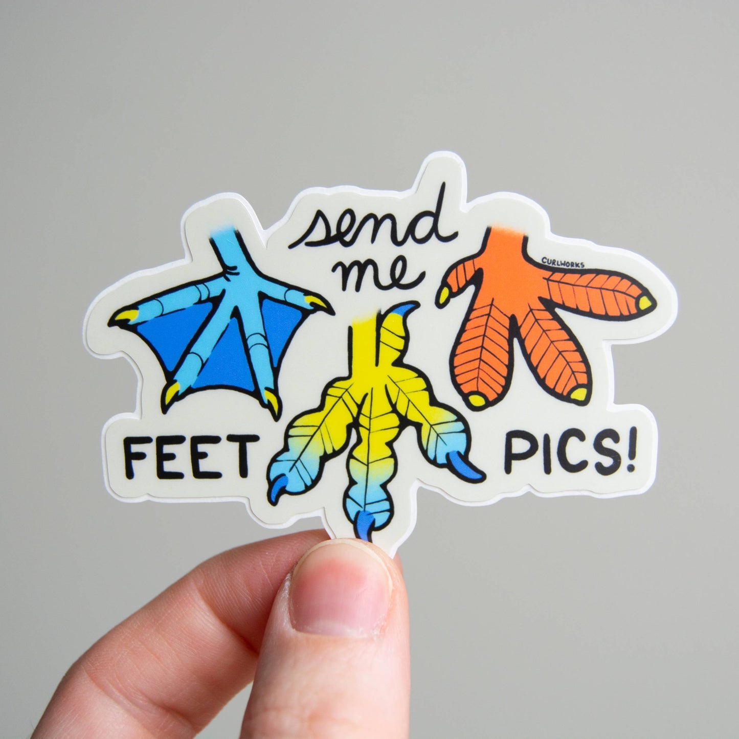 Sticker with different bird feet and text 'send me FEET PICS!' held by a hand against a gray background