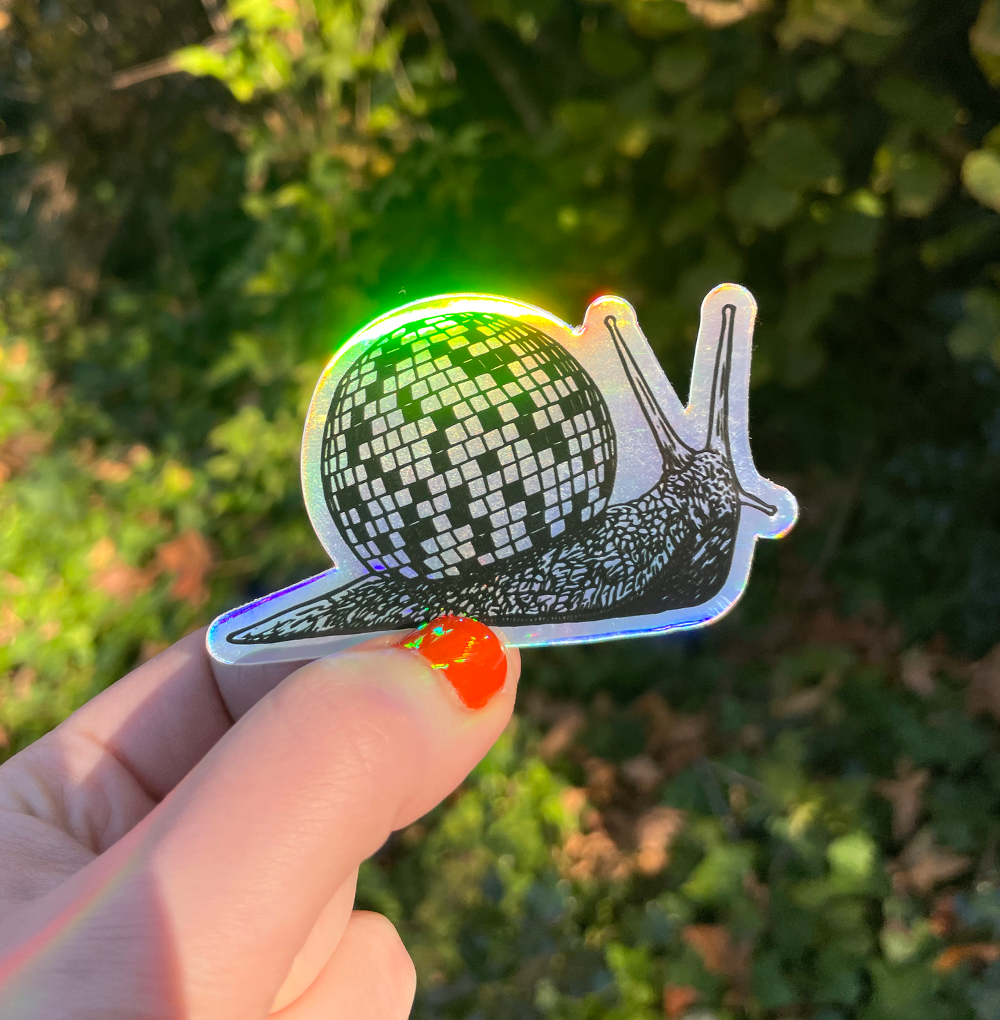 Disco Snail Sticker