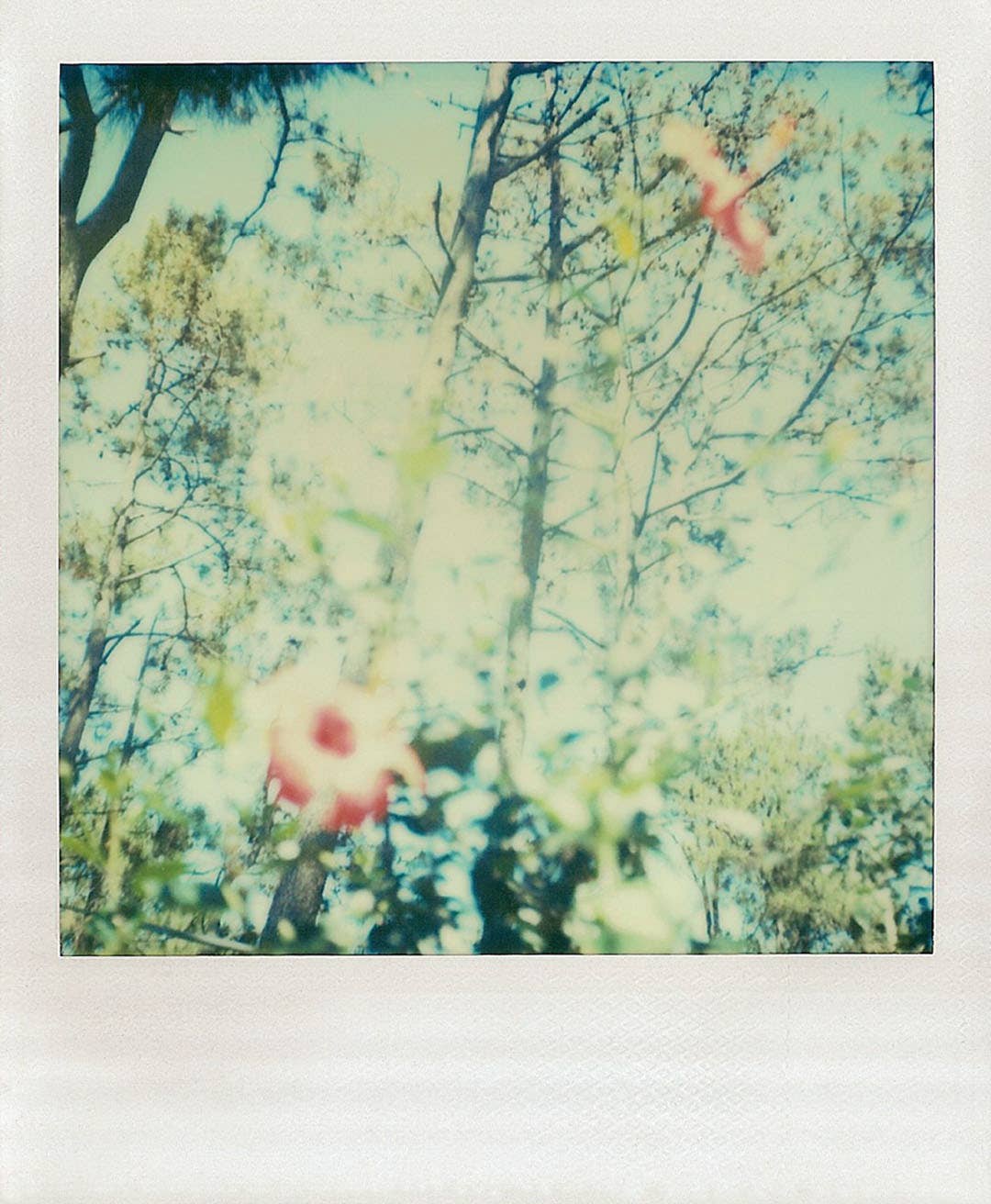 Polaroid Notes