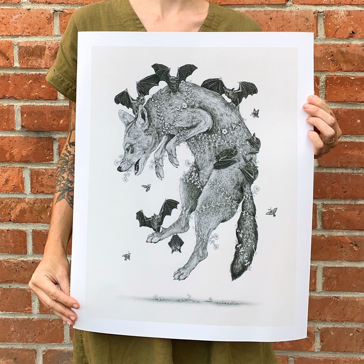 Fine Art Giclee Print, Red Wolf, Scientific Illustration