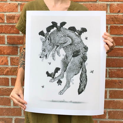 Fine Art Giclee Print, Red Wolf, Scientific Illustration