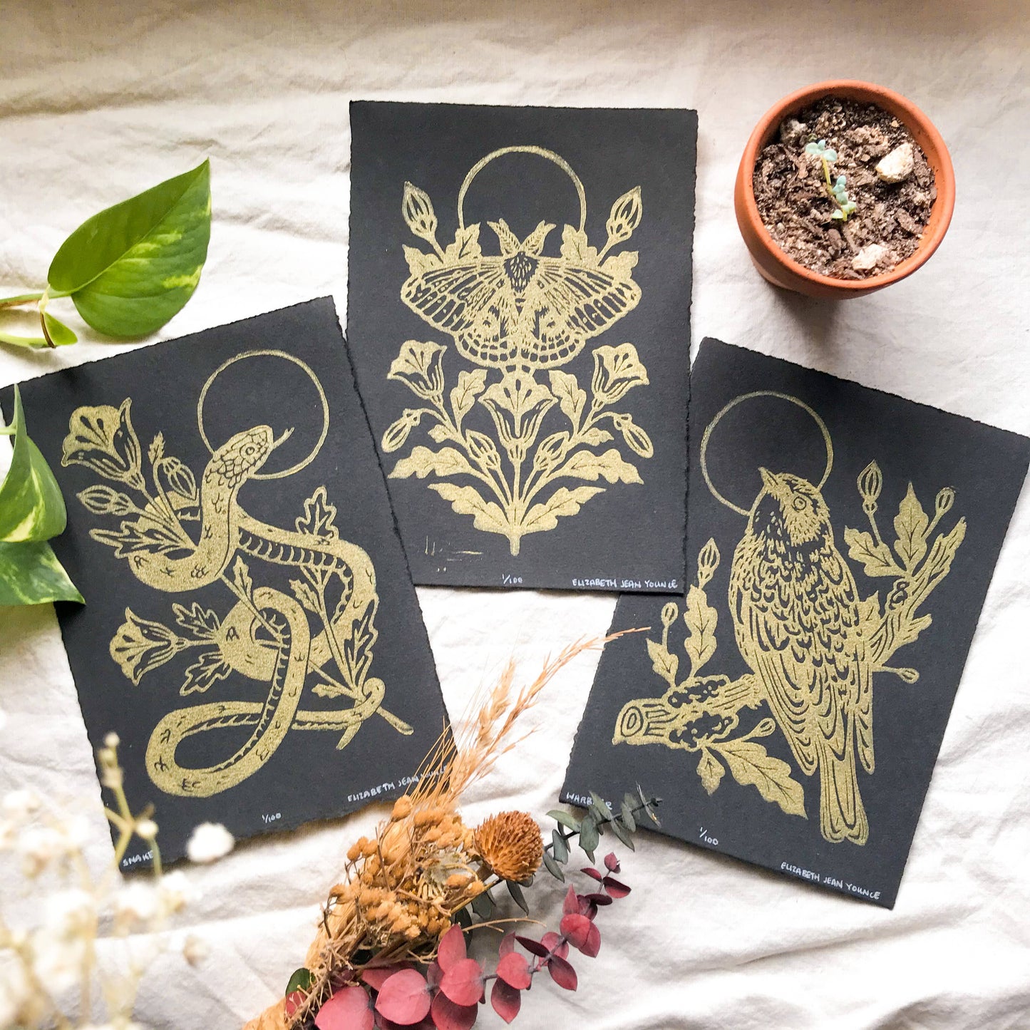 Warbler & Poppies Handprinted Linocut on Handmade Paper 5x7"