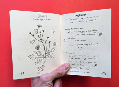 Herbs & Plants for Food & Medicine: Field Kitchen Guide Zine