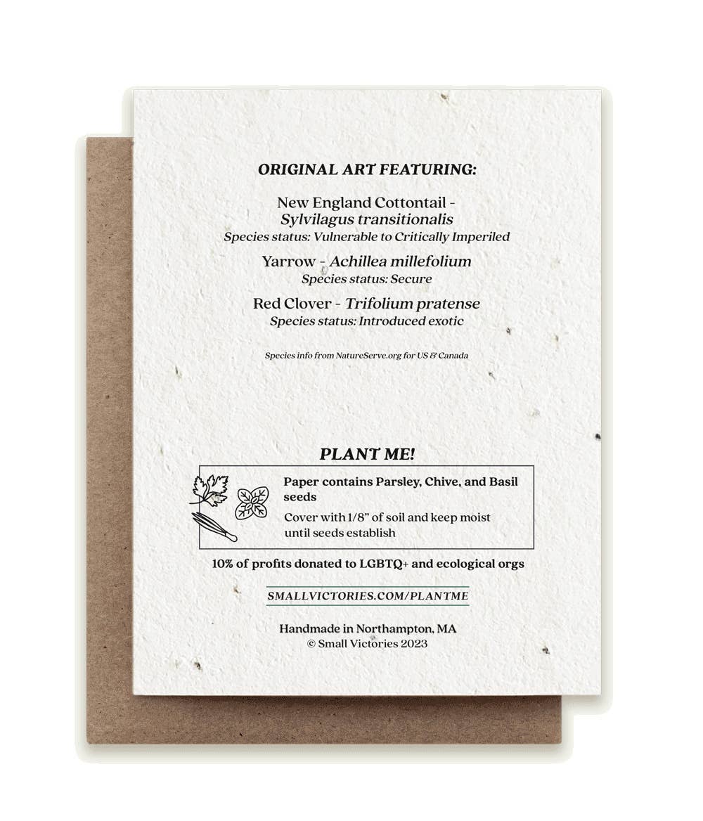 Rabbit Gathering Herbs Plantable Herb Seed Card