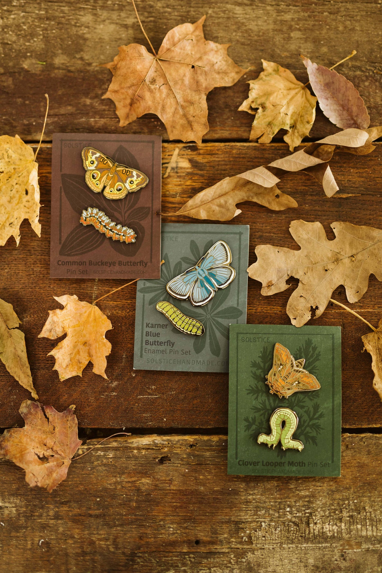Clover Looper Moth (Inchworm) Pin Set