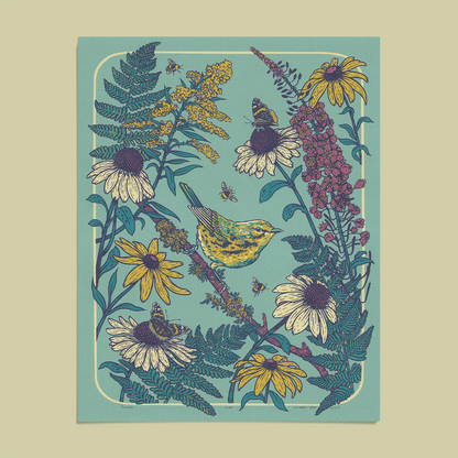 Prairie Warbler Giclee Print 11x14"