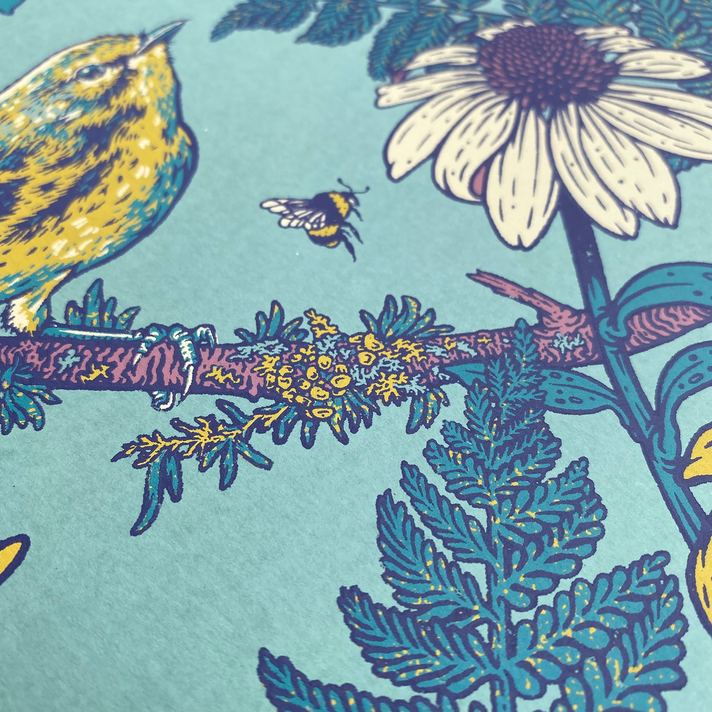 Prairie Warbler Giclee Print 11x14"