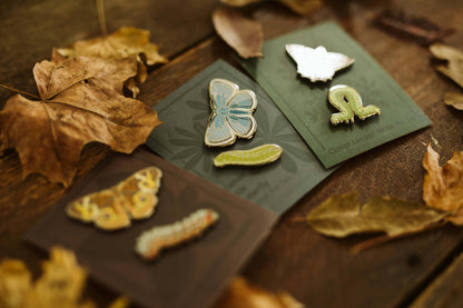 Clover Looper Moth (Inchworm) Pin Set