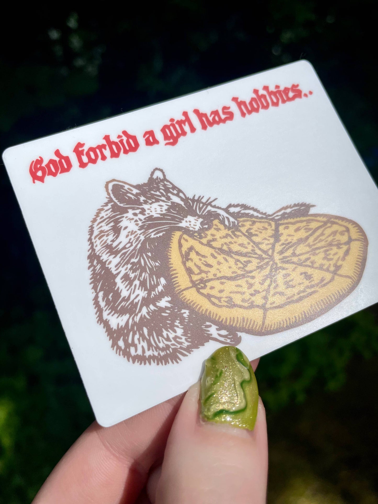 Raccoon Vinyl Sticker