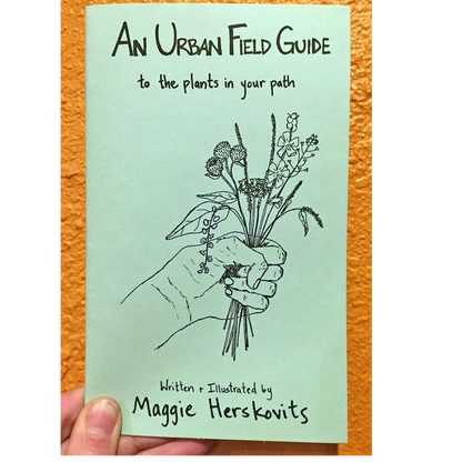 Urban Field Guide to the Plants in Your Path (Zine)